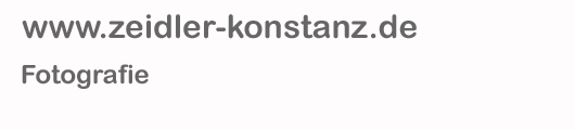 Fotografie